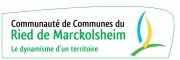 LOGO_CCRM_VEC