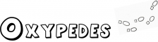 logo oxypedes